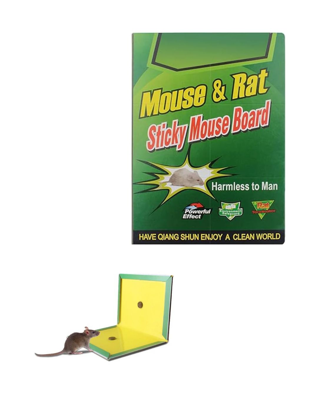 Mouse Trap Glue Sheet