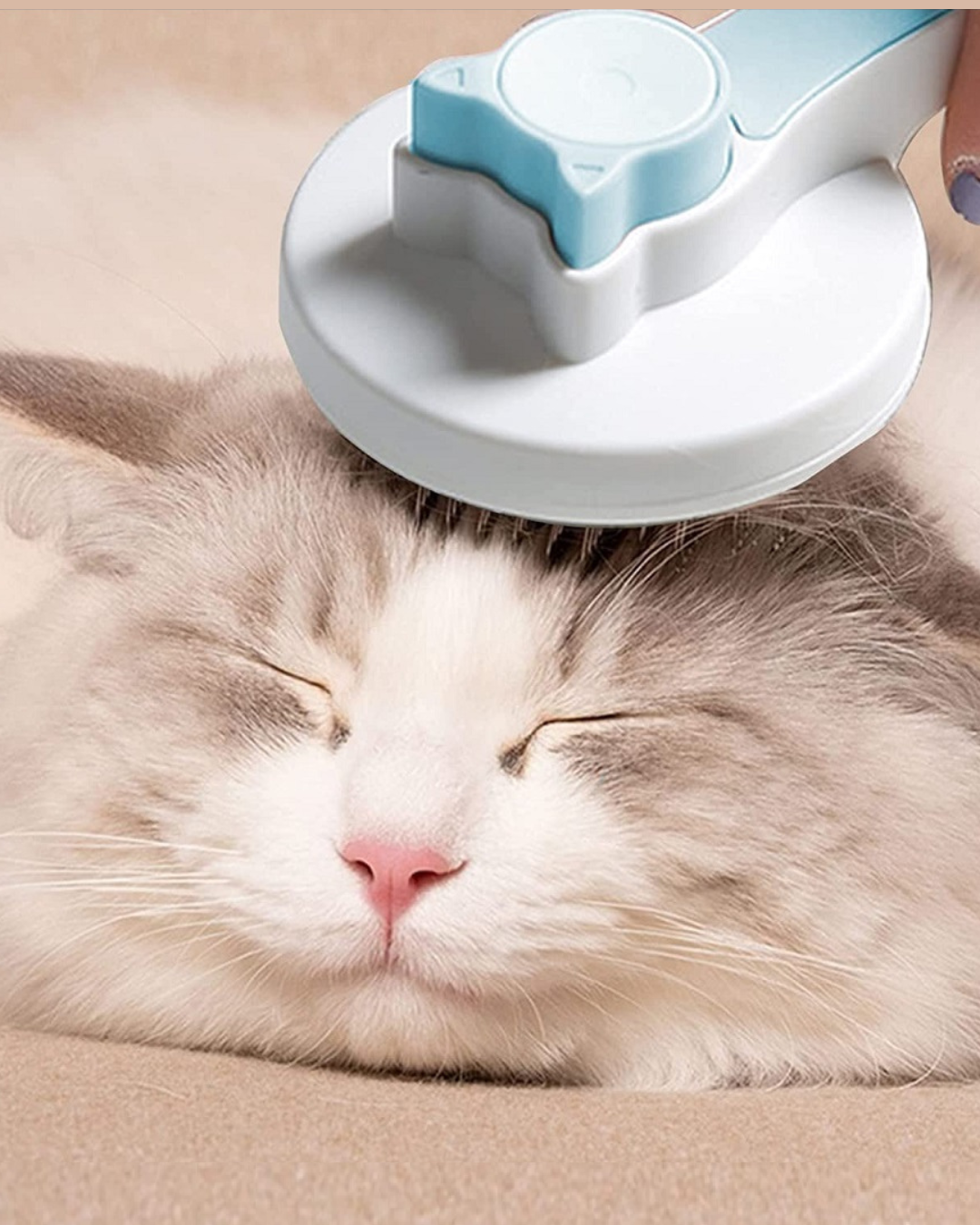 Pet Hair and Grooming Brush