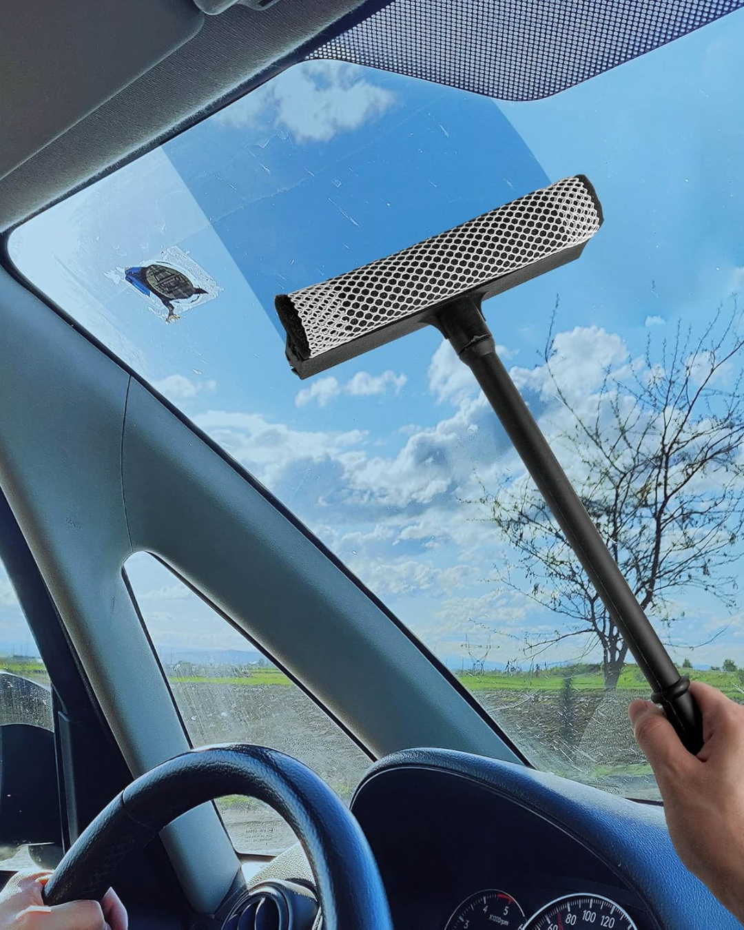 Window Squeegee with Scrubber
