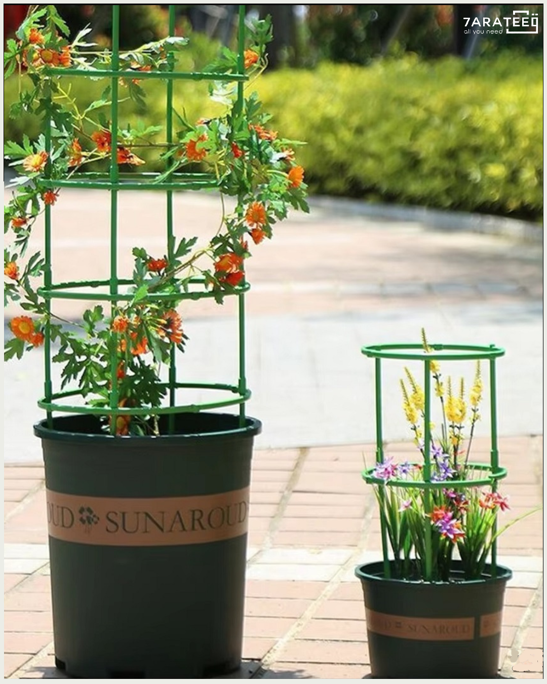 Circular Plastic Plants Bracket