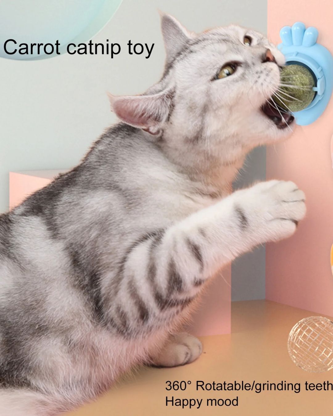Catnip Ball