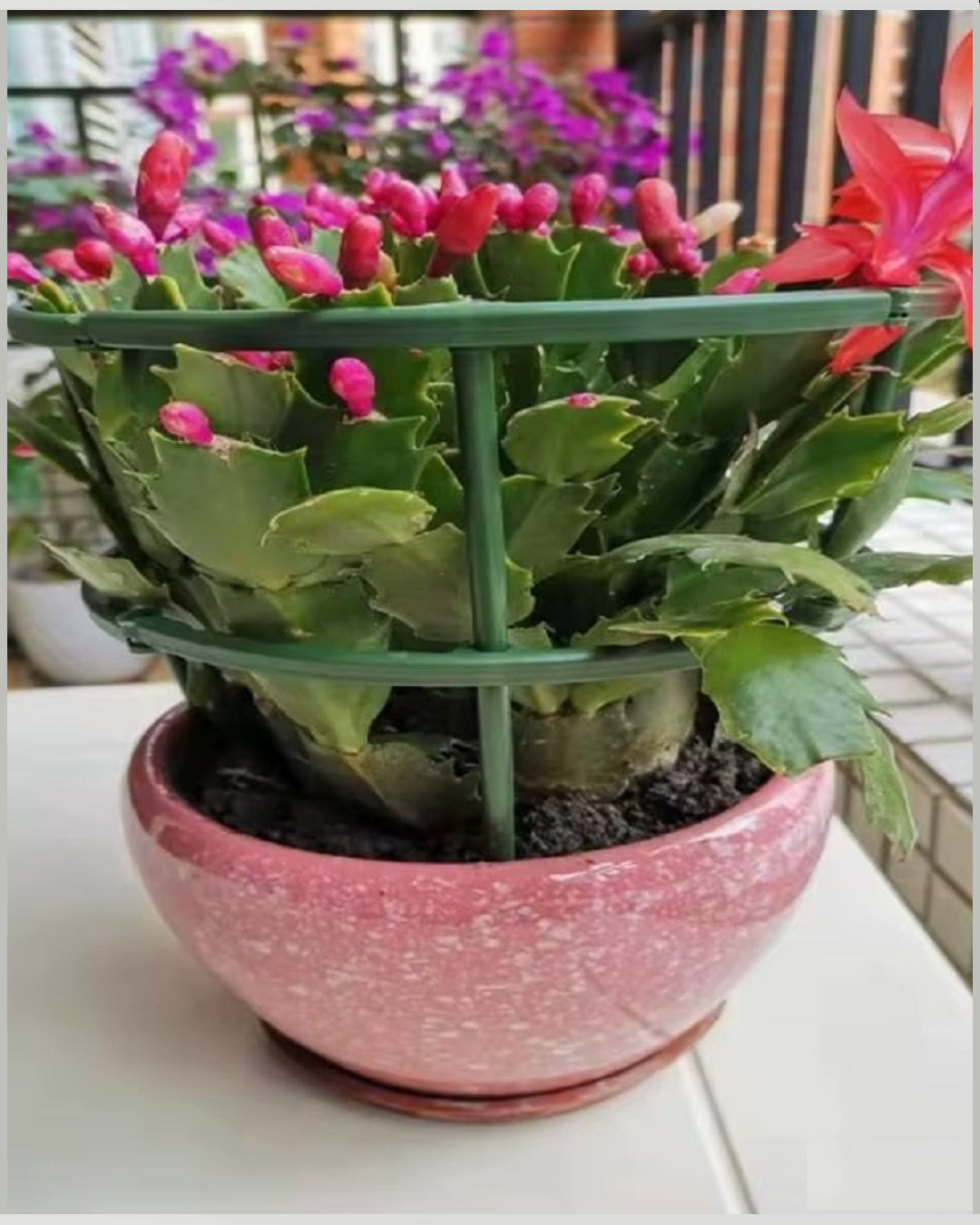Circular Plastic Plants Bracket