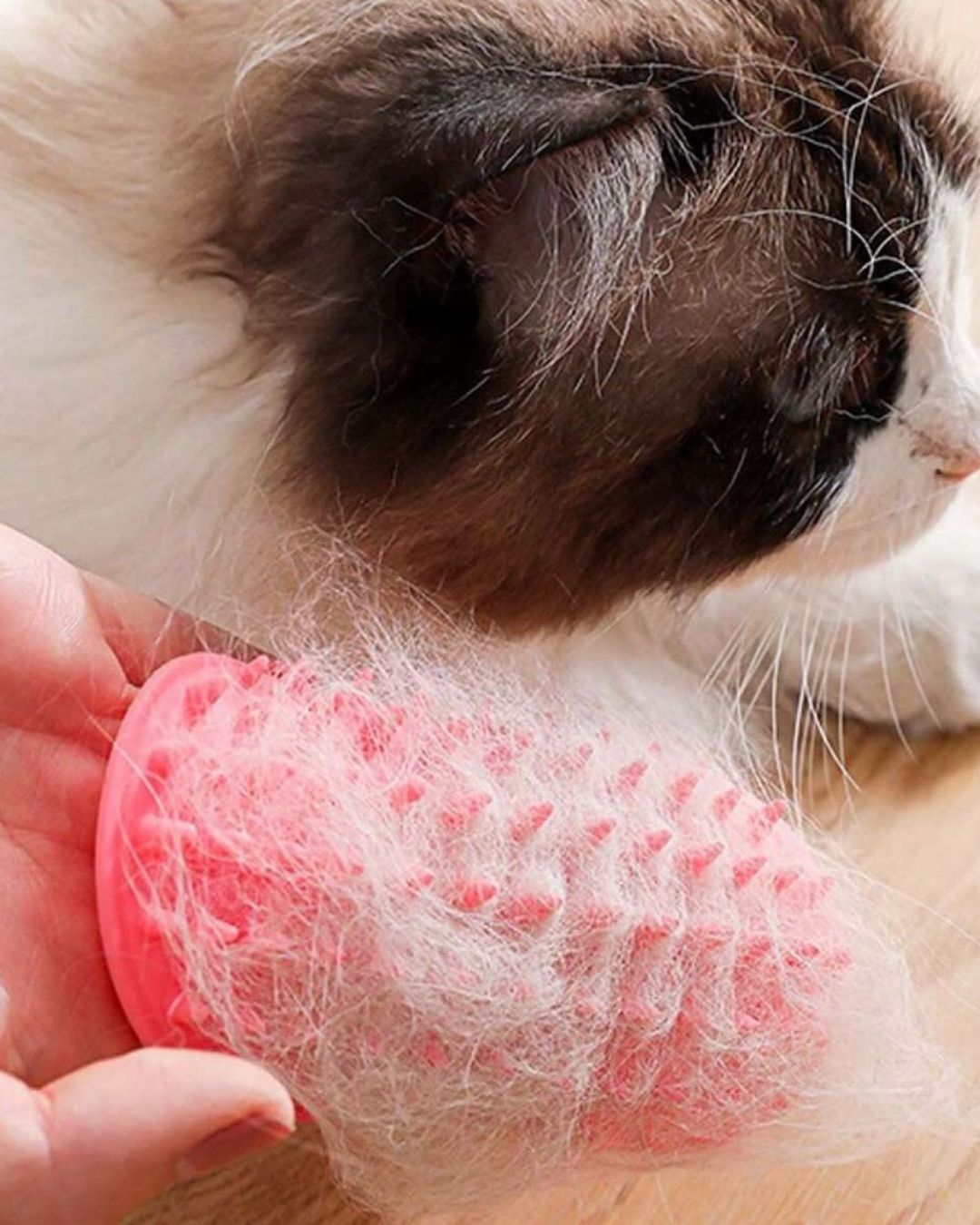 Silicone Cat Scratching Massage Tool