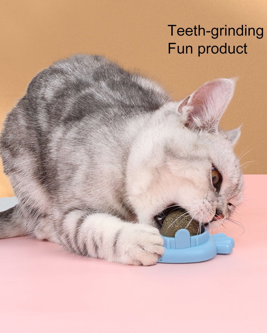 Catnip Ball