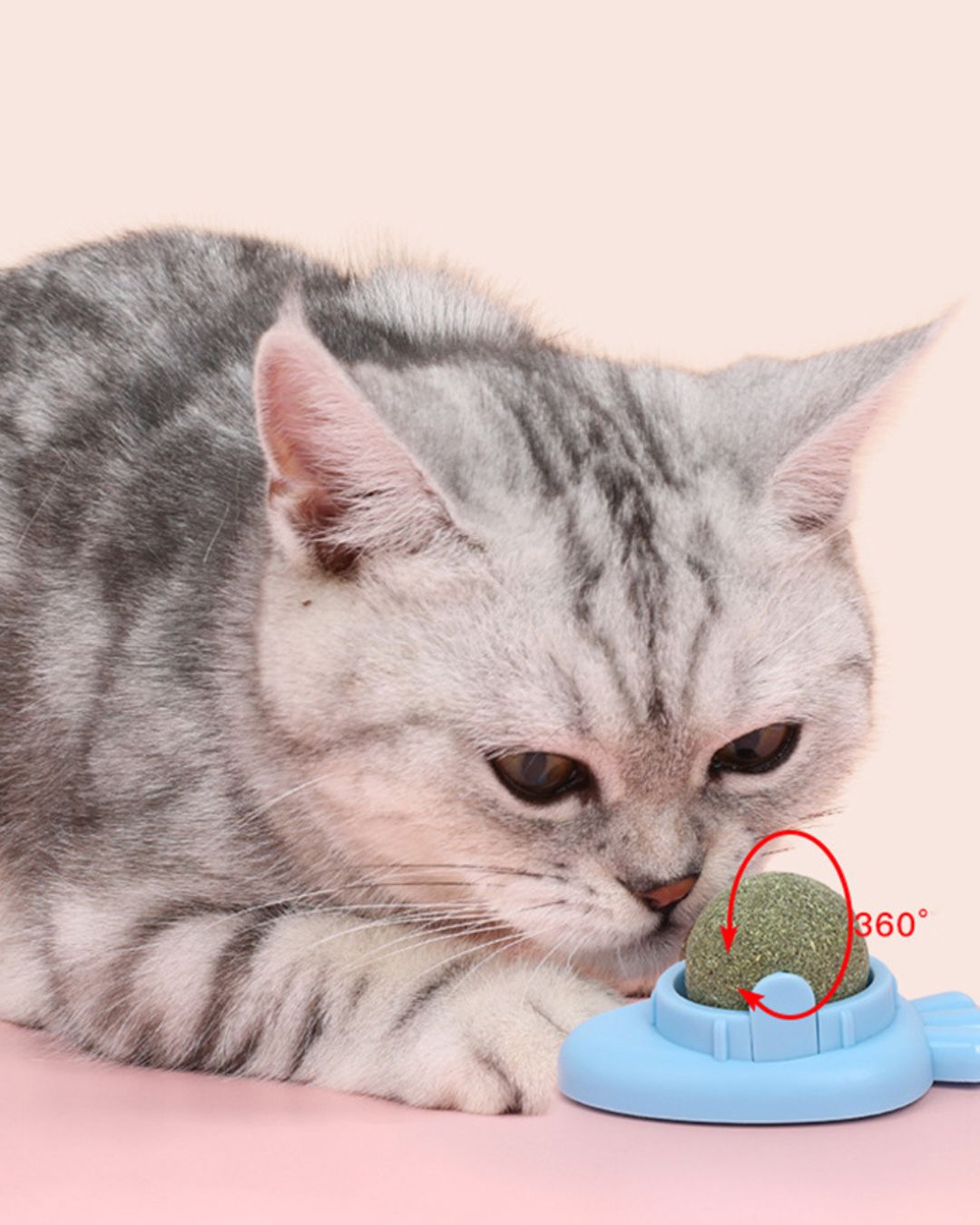 Catnip Ball
