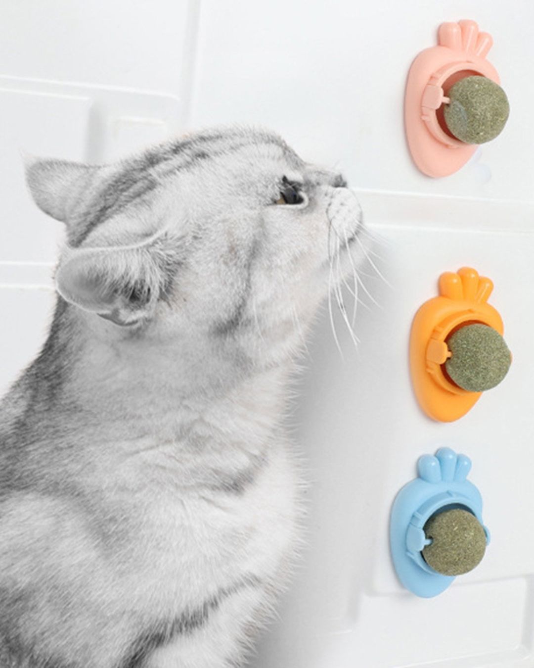Catnip Ball
