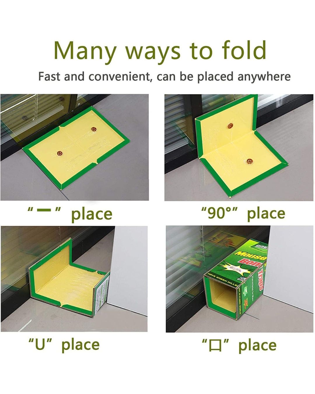 Mouse Trap Glue Sheet