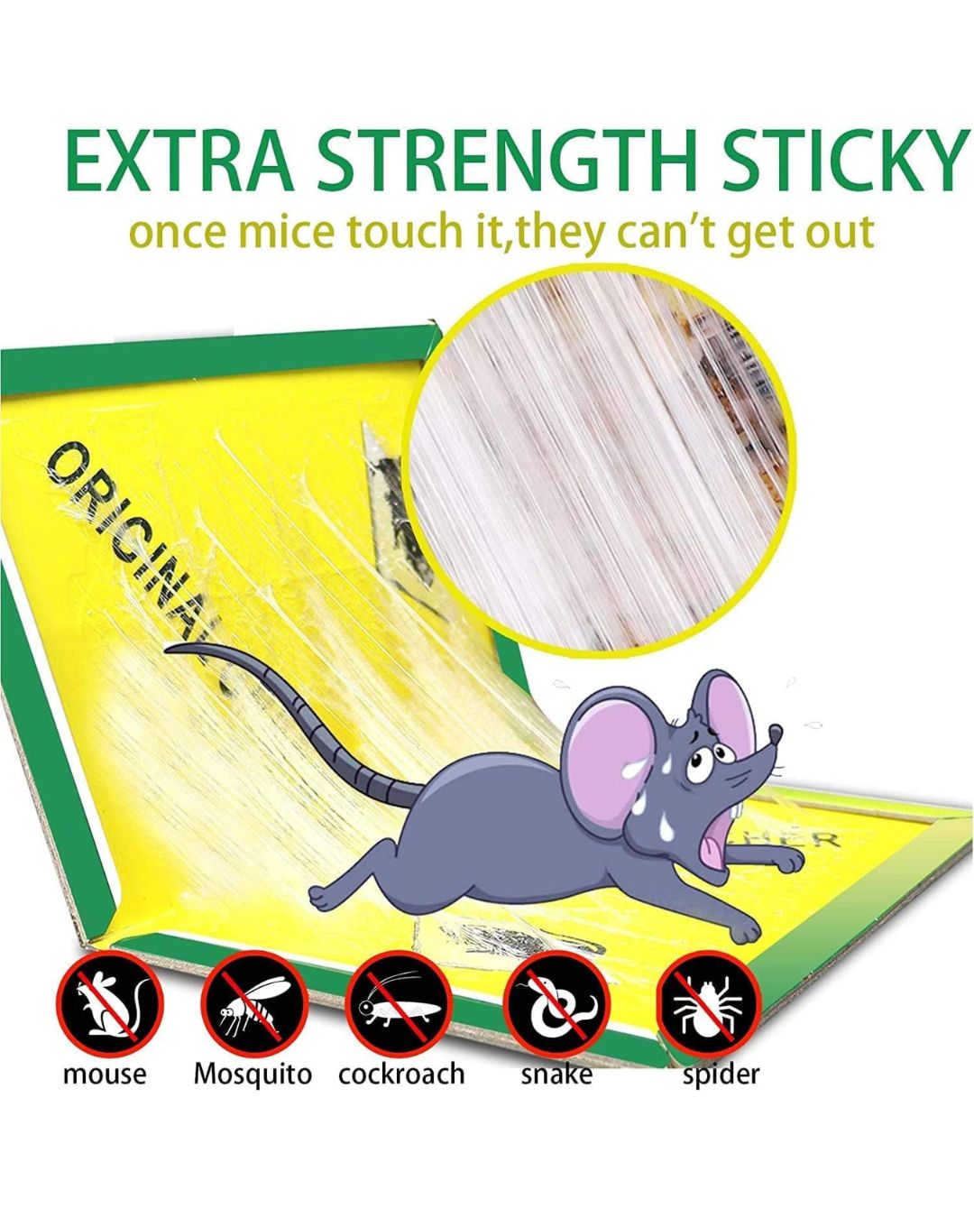 Mouse Trap Glue Sheet