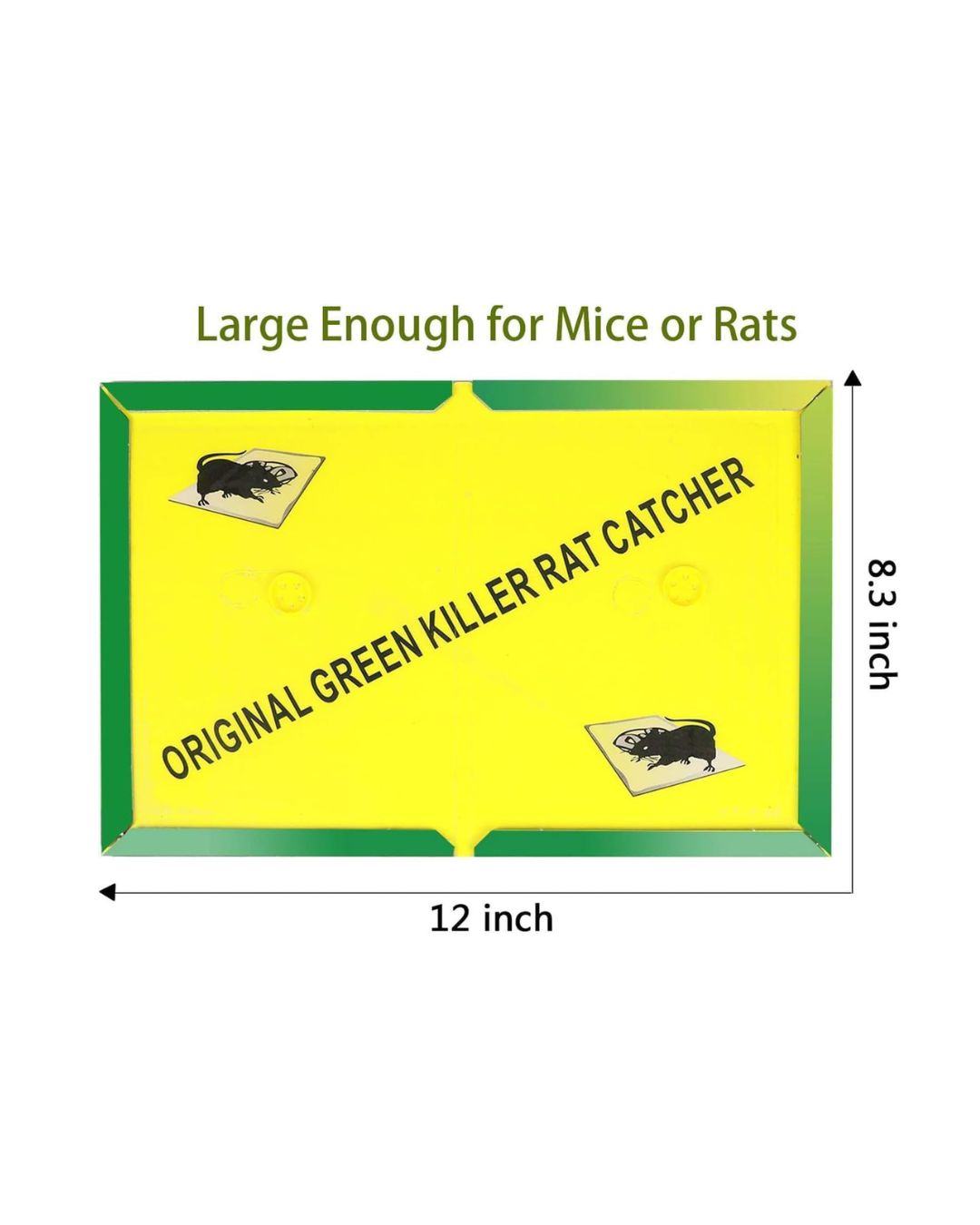 Mouse Trap Glue Sheet