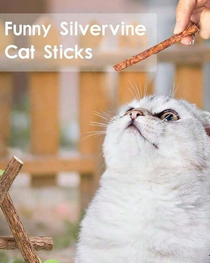 Catnip Chew Sticks