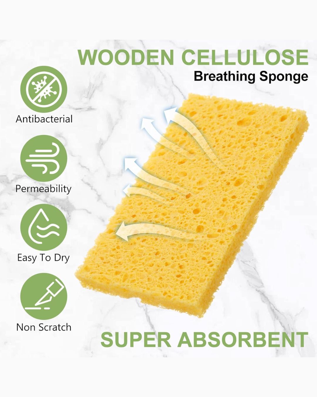 Compressed Wood Pulp Sponges