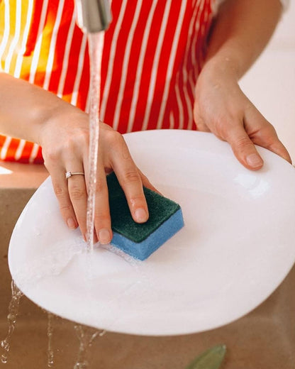 Multicolor Scrub Sponges