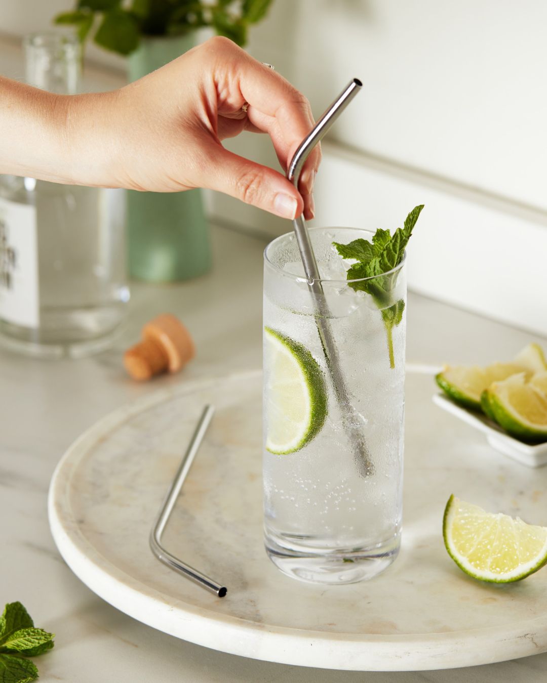 Bent Stainless Steel Straw Set with Brush