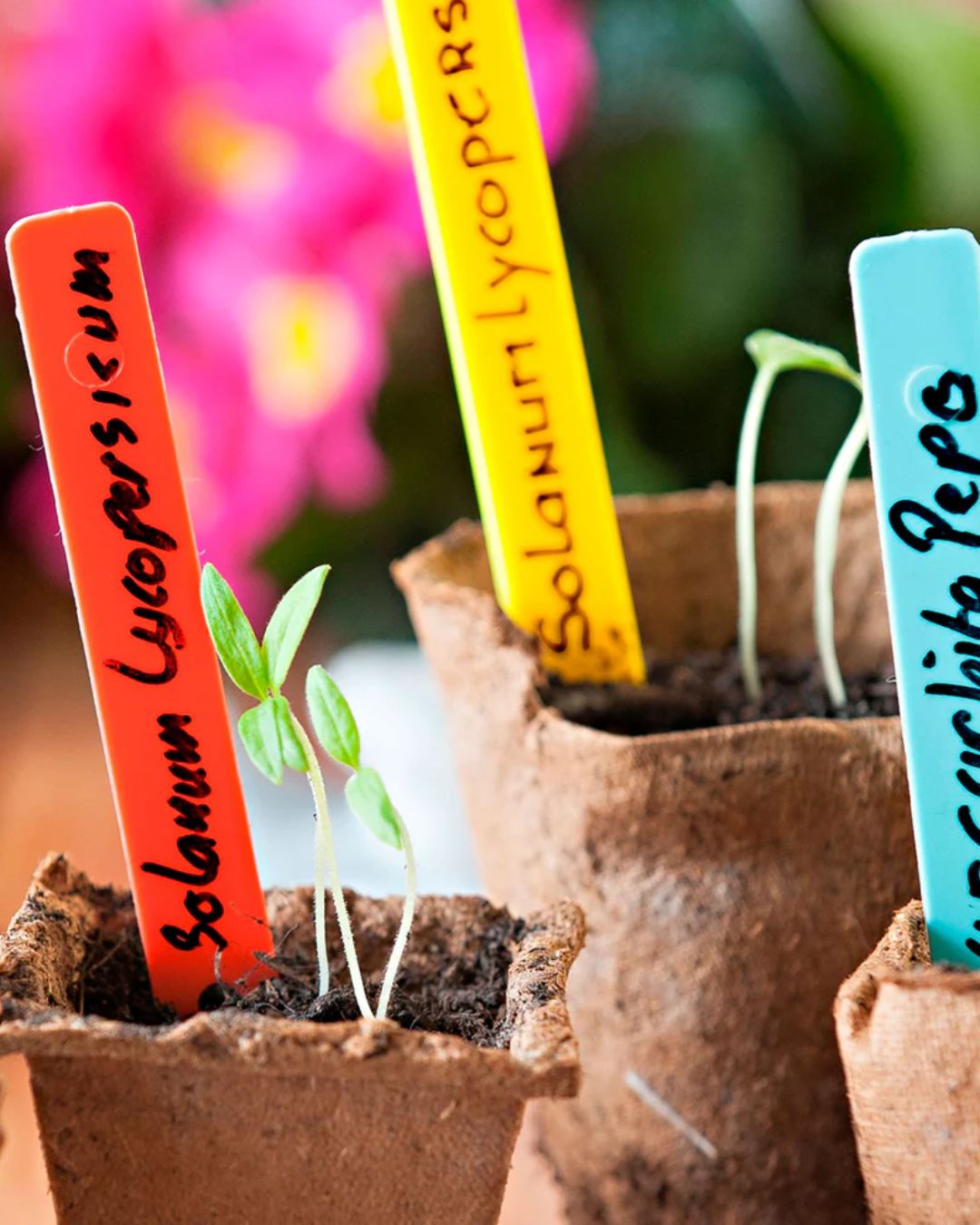 Plastic Plant Labels