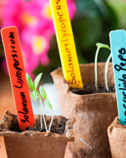 Plastic Plant Labels