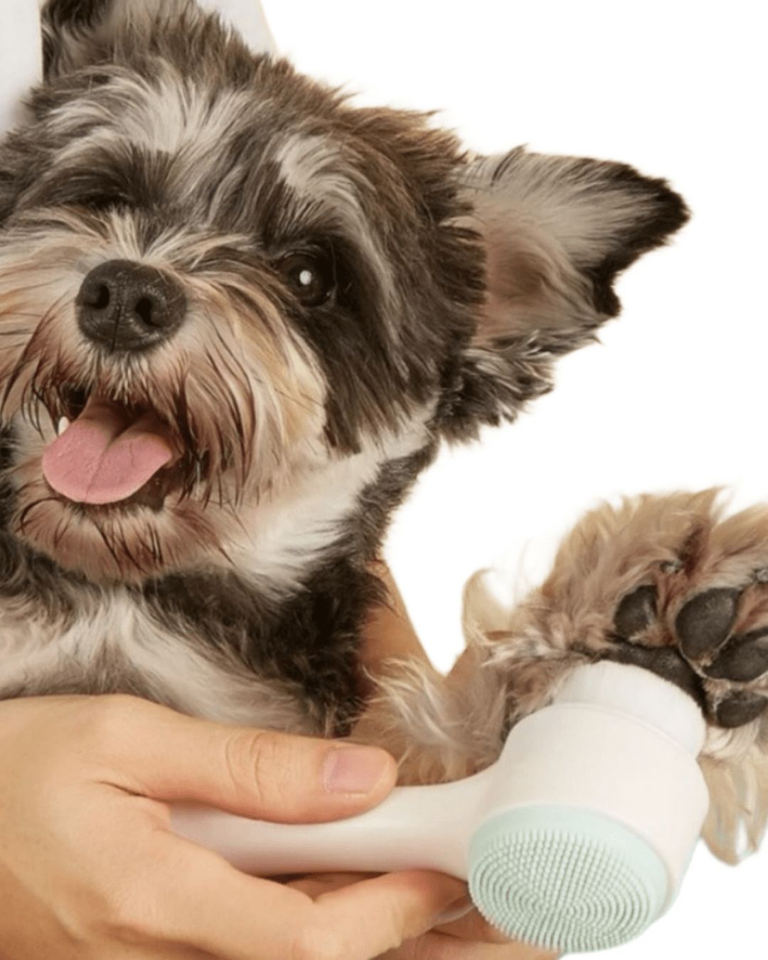 Two-Tone Soft Silicone Dog Paw Cleaning Brush