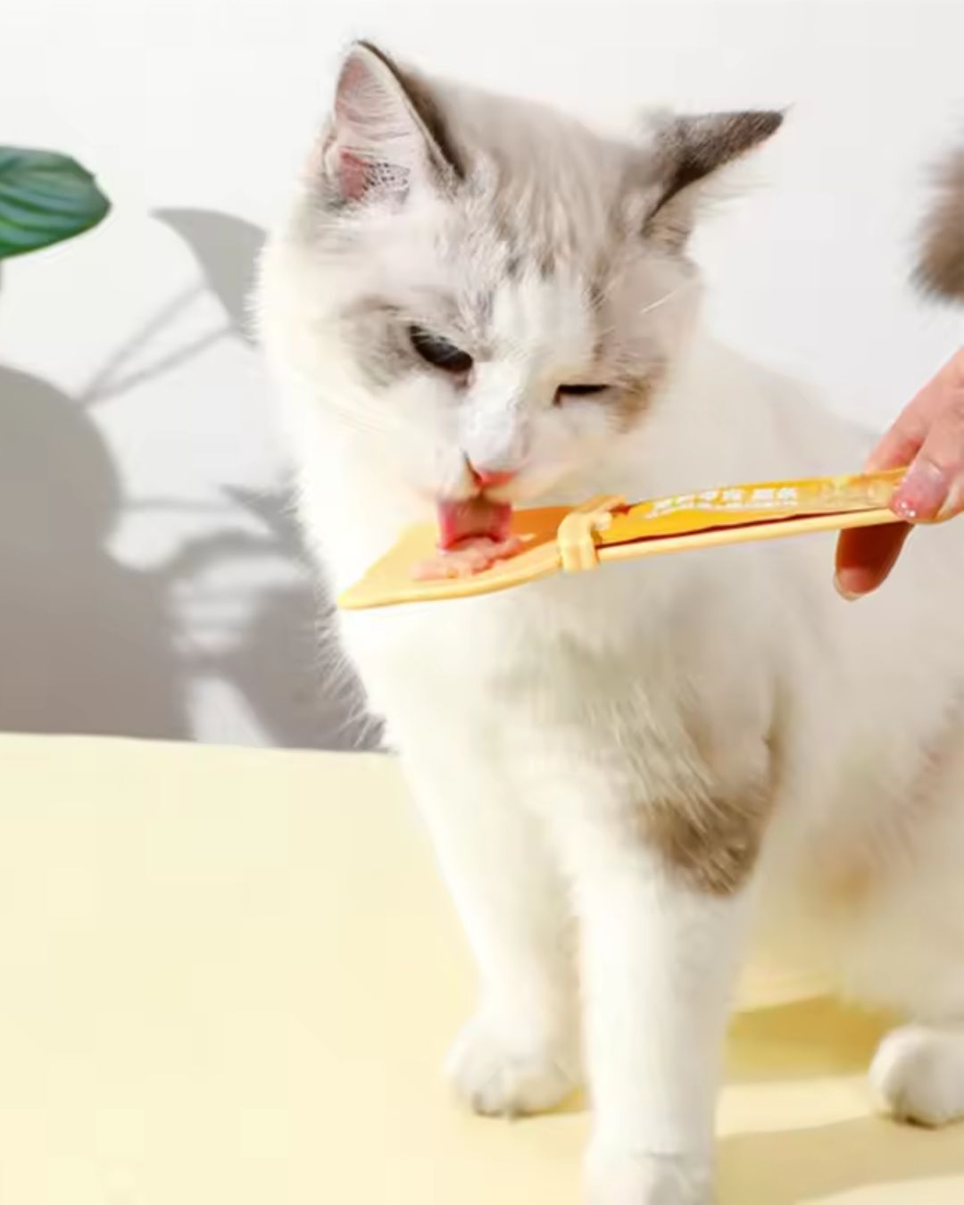 Cat Treat Squeeze Spoon