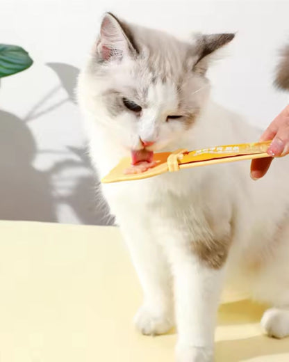 Cat Treat Squeeze Spoon