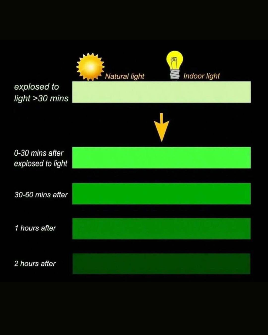 Roll Luminous Tape