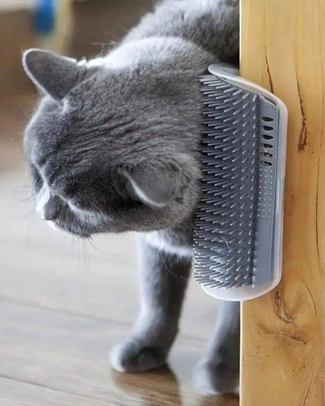 Self-Grooming Cat Wall Scratcher
