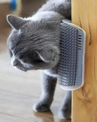 Self-Grooming Cat Wall Scratcher