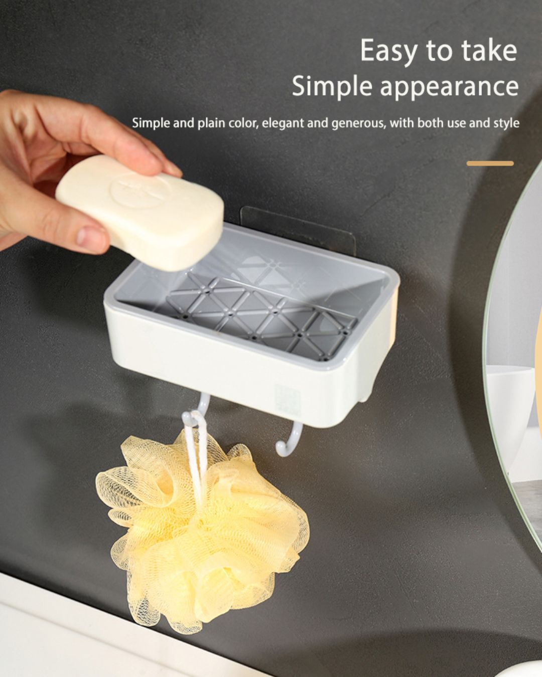 Wall Mounted Soap Dish with 2-Hooks