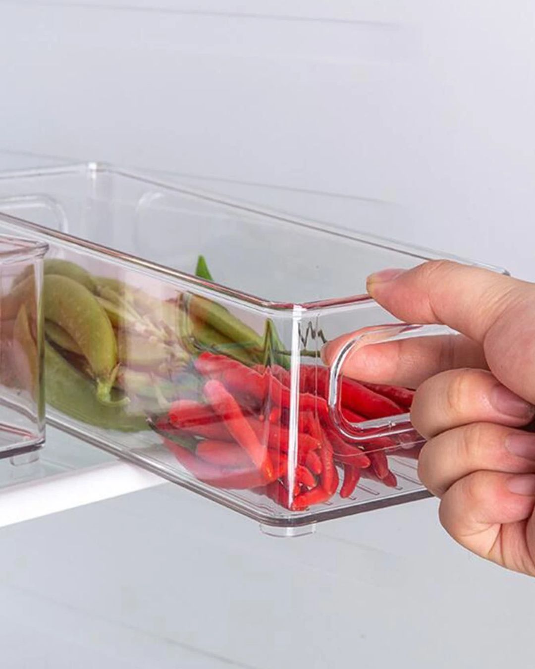 Refrigerator Storage Container