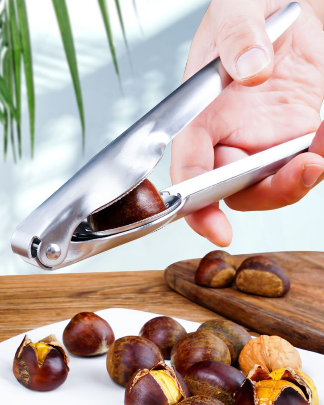 Stainless Steel Chestnut Cutter