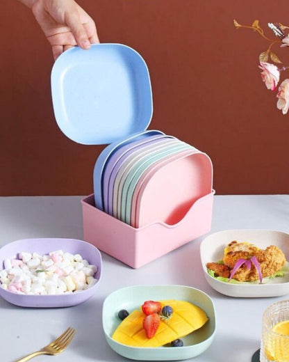 10 Plates Set with Stand