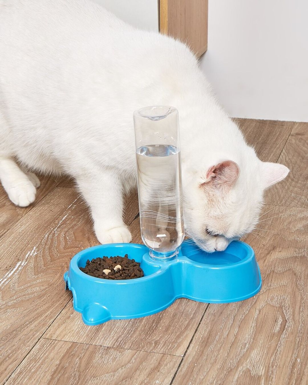 Pet Bowl With Drinking Bottle