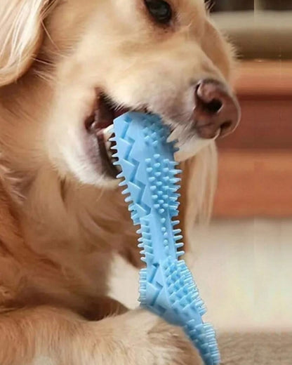 Durable Dog Toothbrush & Chew Toy