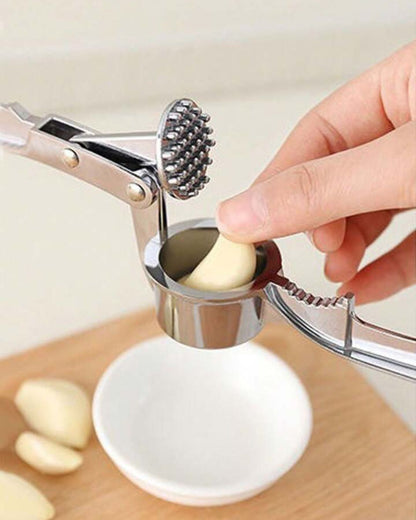 2 in 1 Stainless Steel Garlic Press