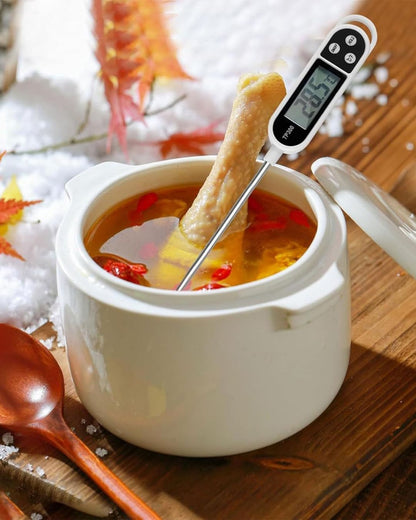 Digital Food Thermometer with LCD Display