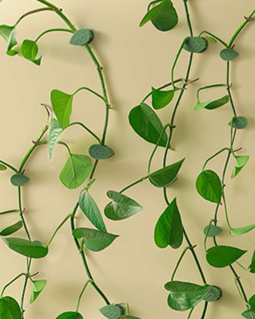 Leaf-Shaped Adhesive Greenery Fixator