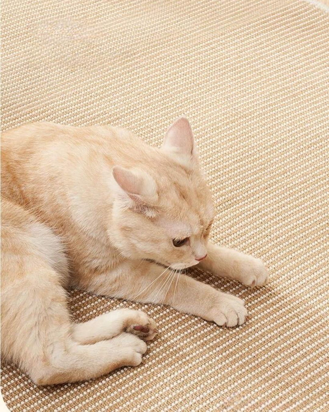 Cat Scratching Sisal Mat