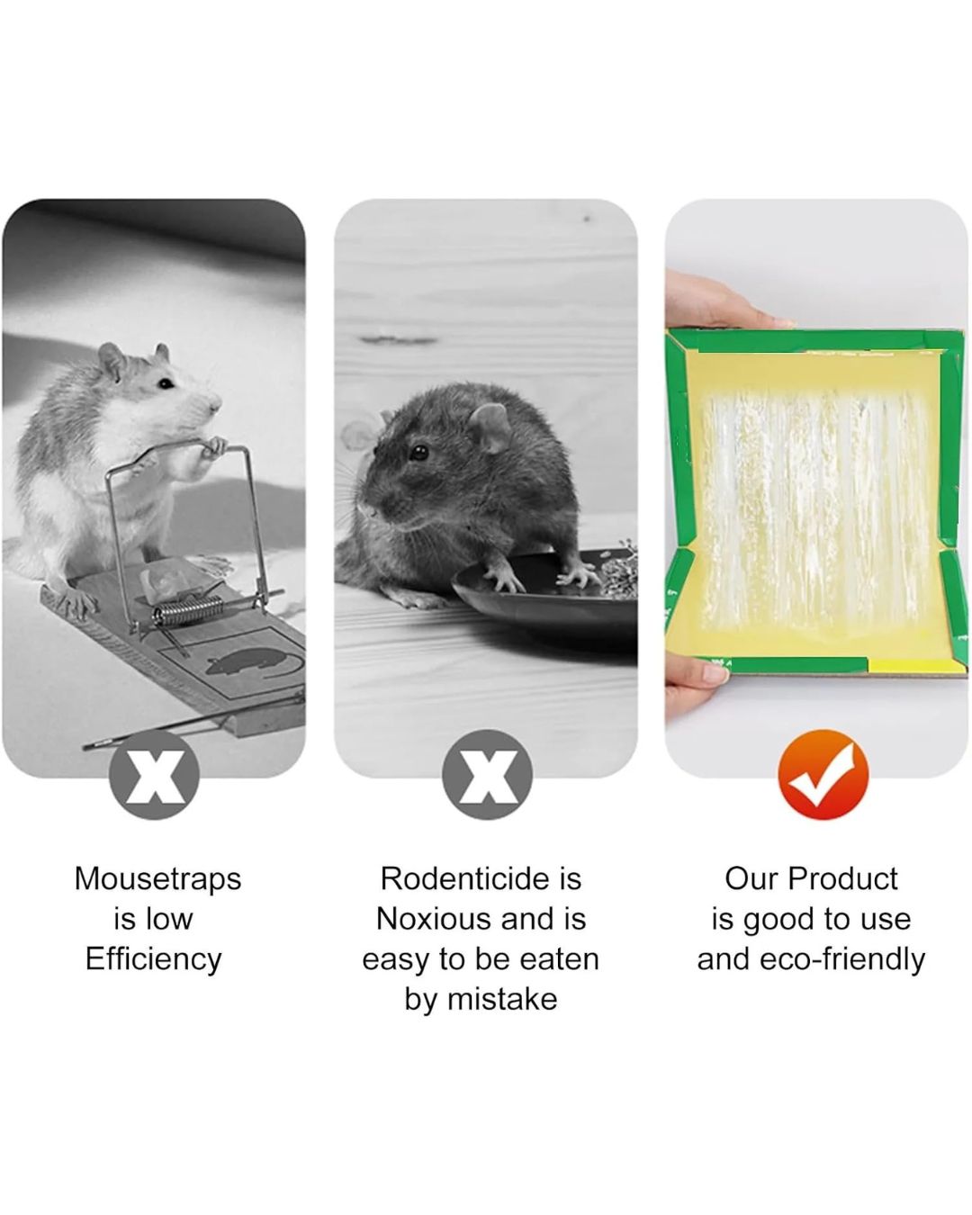 Mouse Trap Glue Sheet