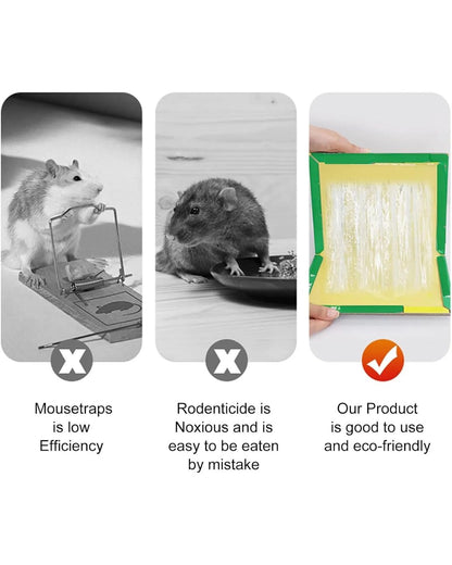 Mouse Trap Glue Sheet