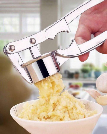 2 in 1 Stainless Steel Garlic Press