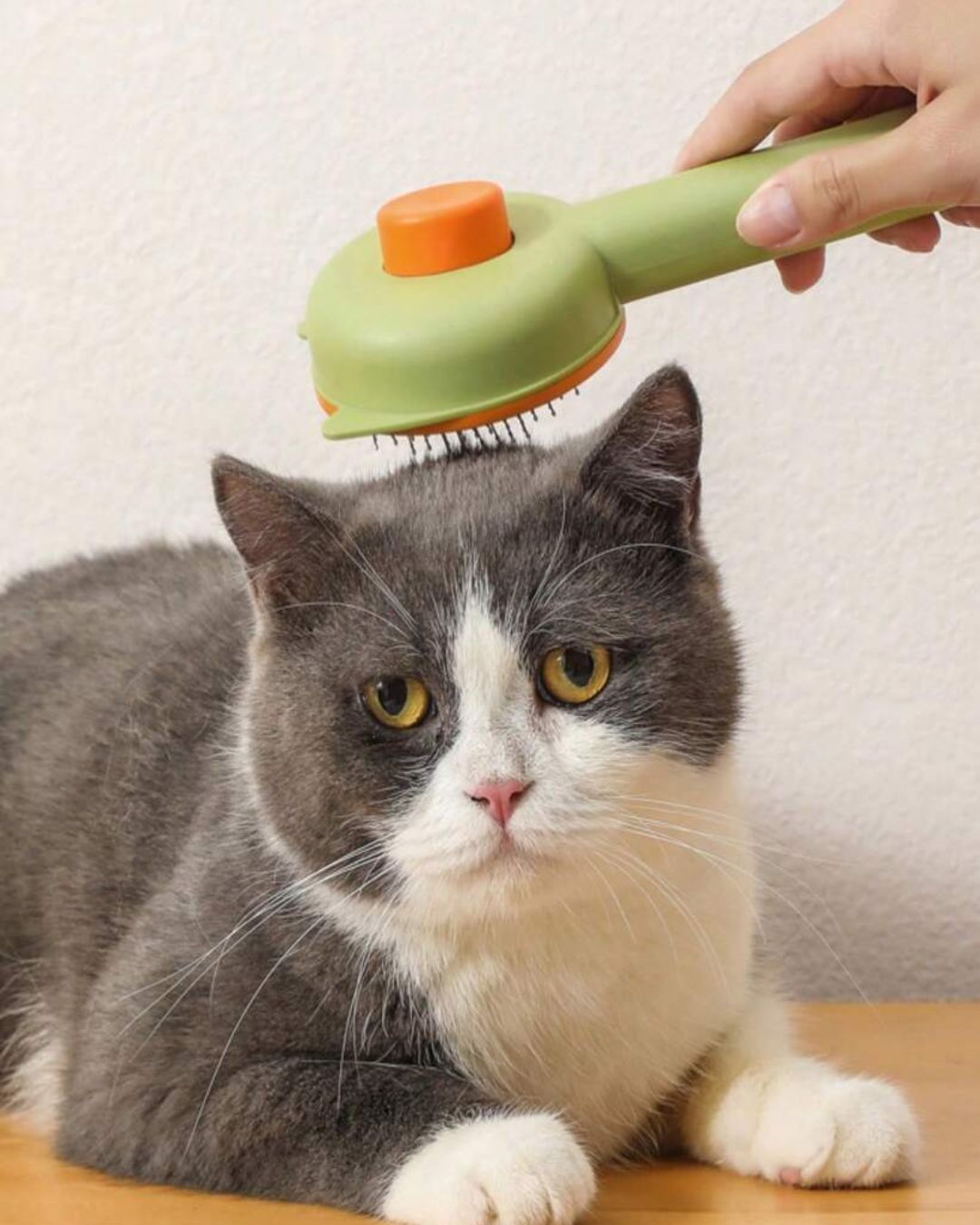 Press Type Pet Grooming Brush