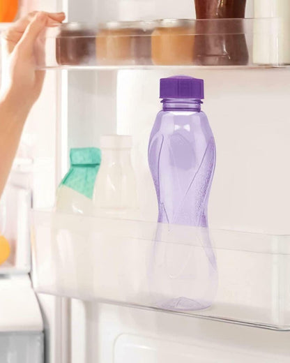 Multipurpose Water Bottle