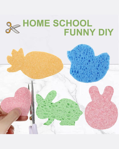 Compressed Wood Pulp Sponges