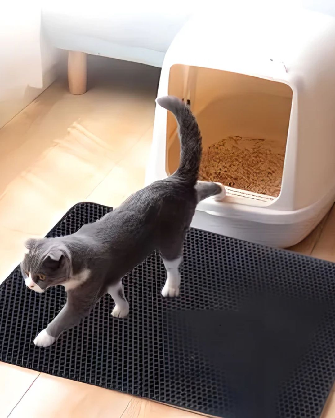 Cat Litter Mat