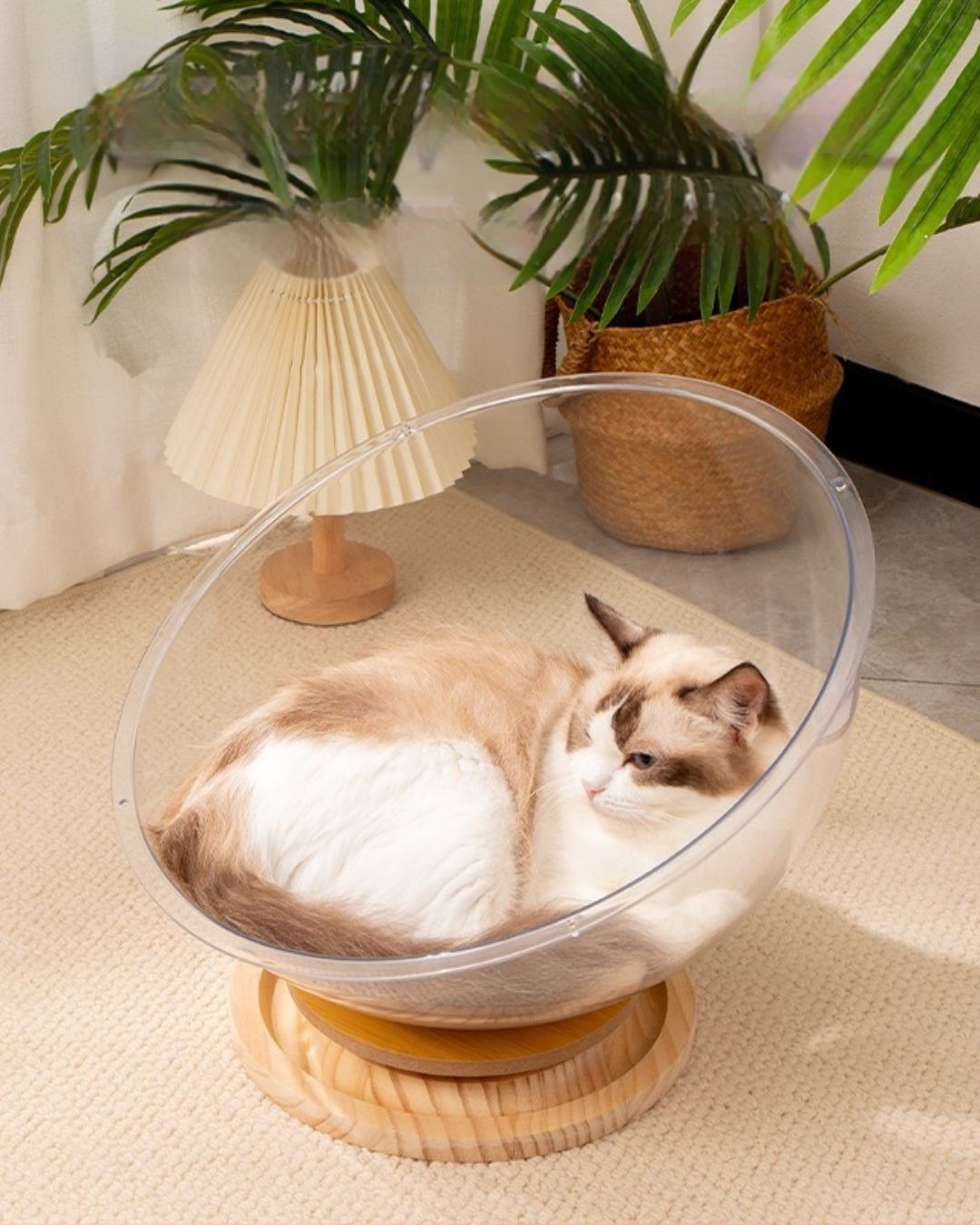 Space Capsule Cat Nest