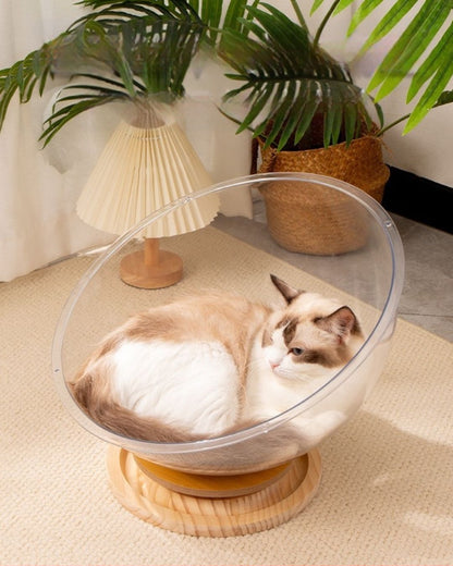 Space Capsule Cat Nest