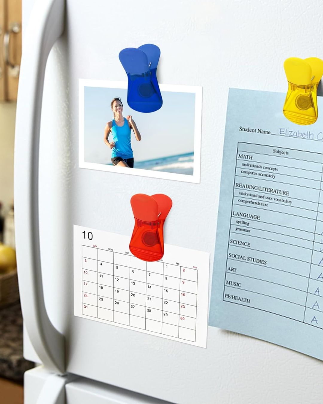 Magnetic Bag Clips