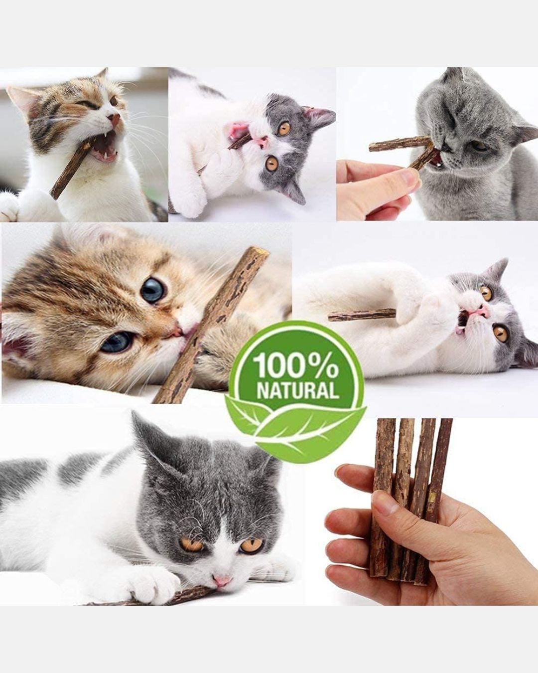 Catnip Chew Sticks