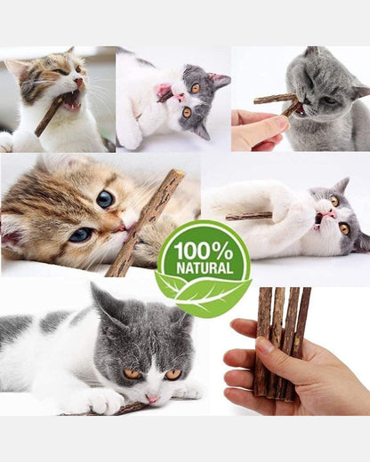 Catnip Chew Sticks