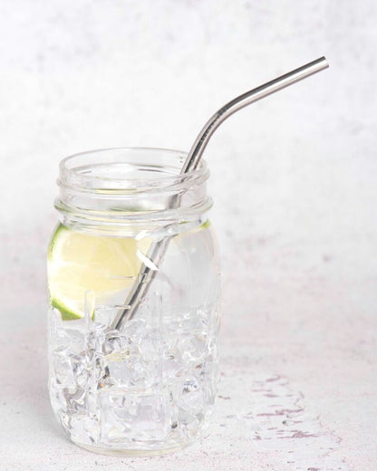 Bent Stainless Steel Straw Set with Brush