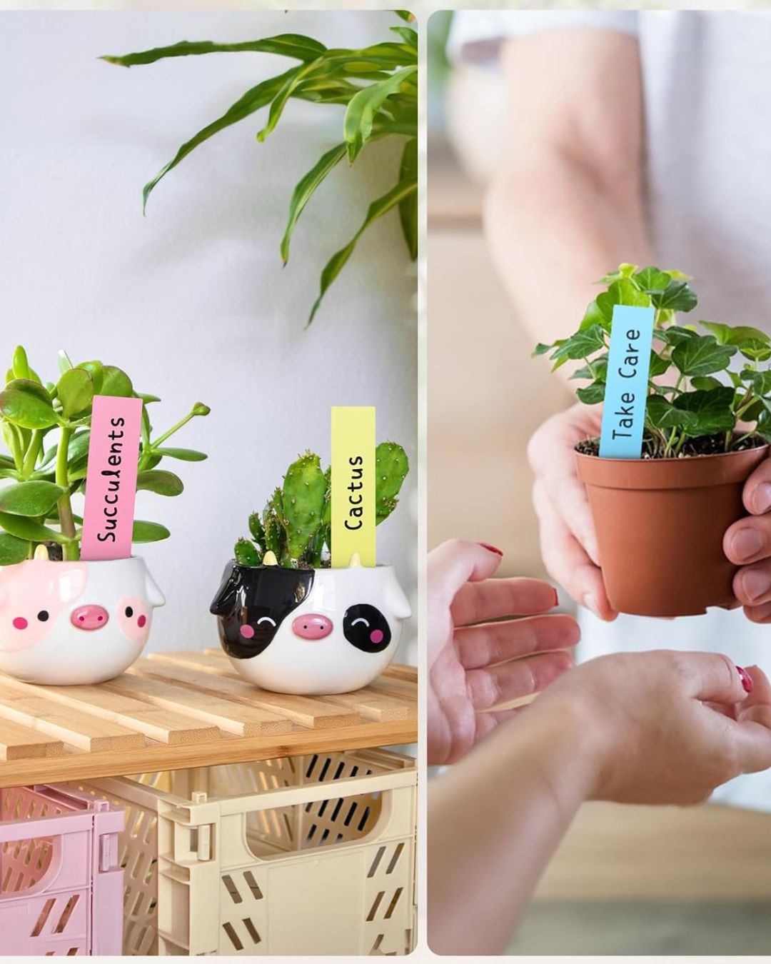 Plastic Plant Labels