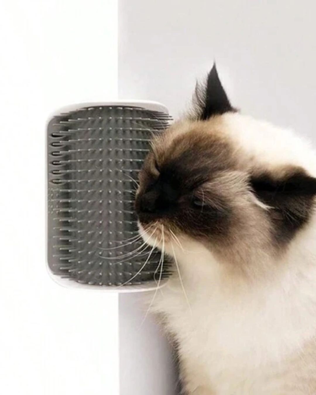 Self-Grooming Cat Wall Scratcher